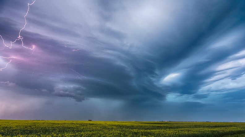 Canola and Living Skies - Ryan Wunsch